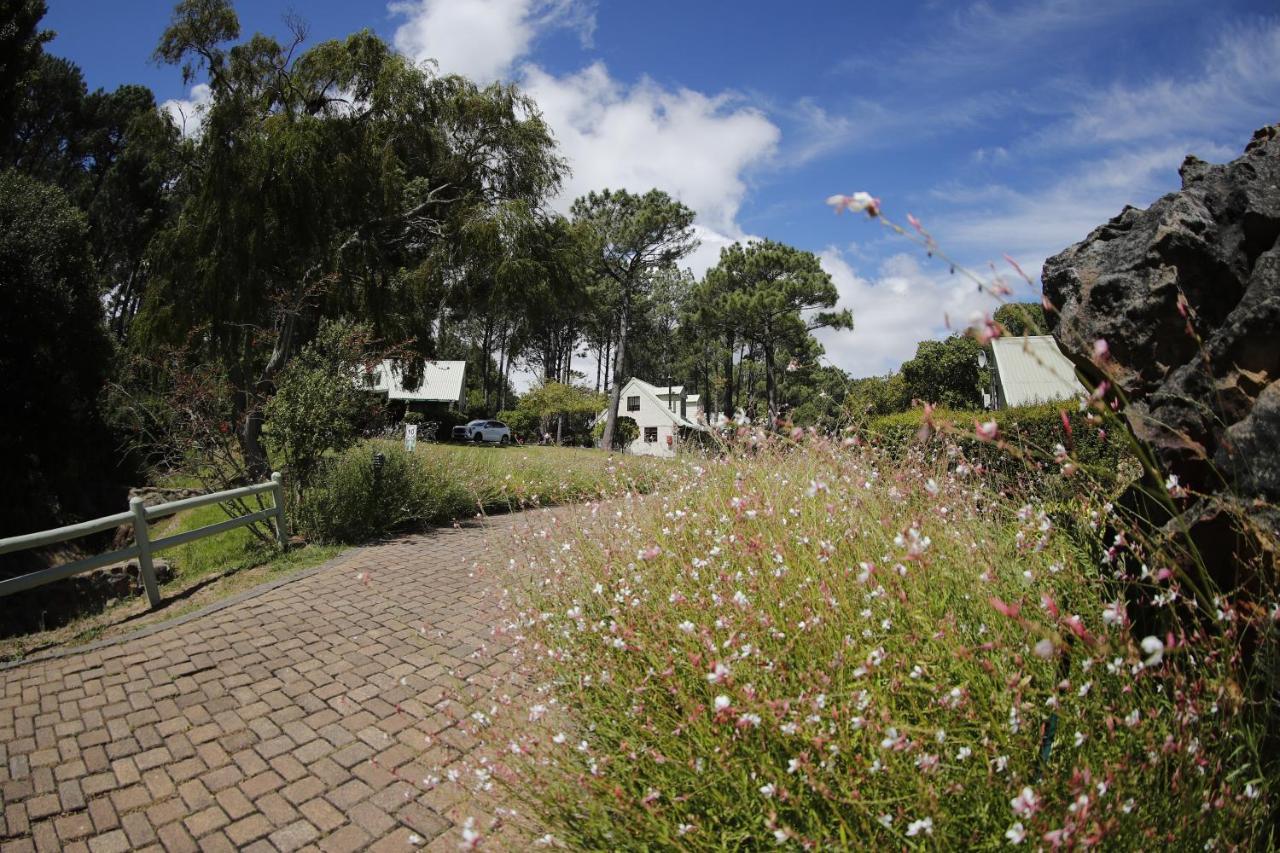 Strelitzia Cottage Cape Town Exterior photo