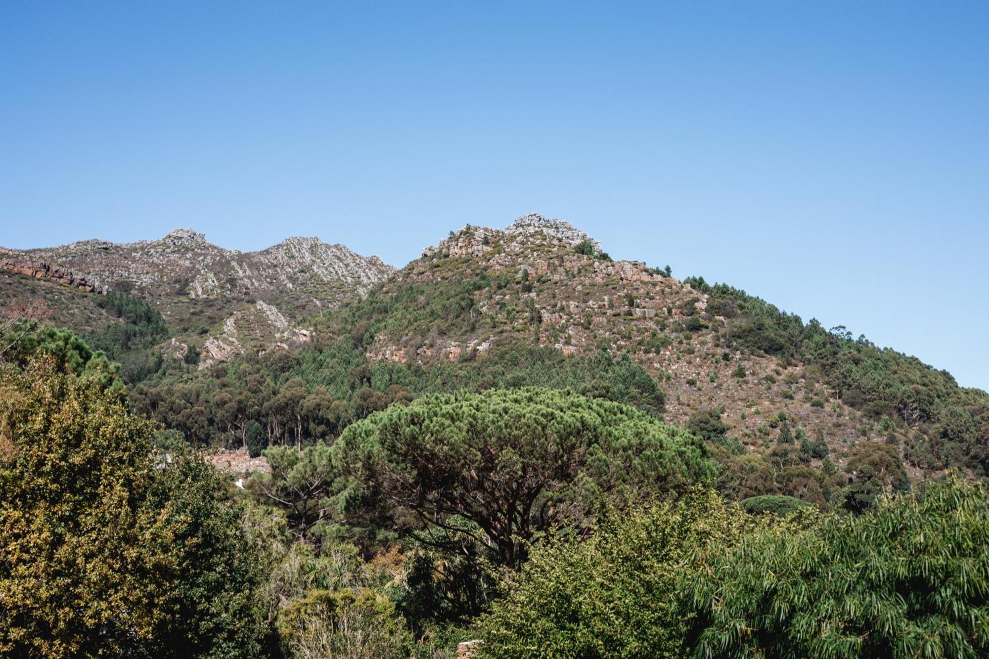 Strelitzia Cottage Cape Town Exterior photo