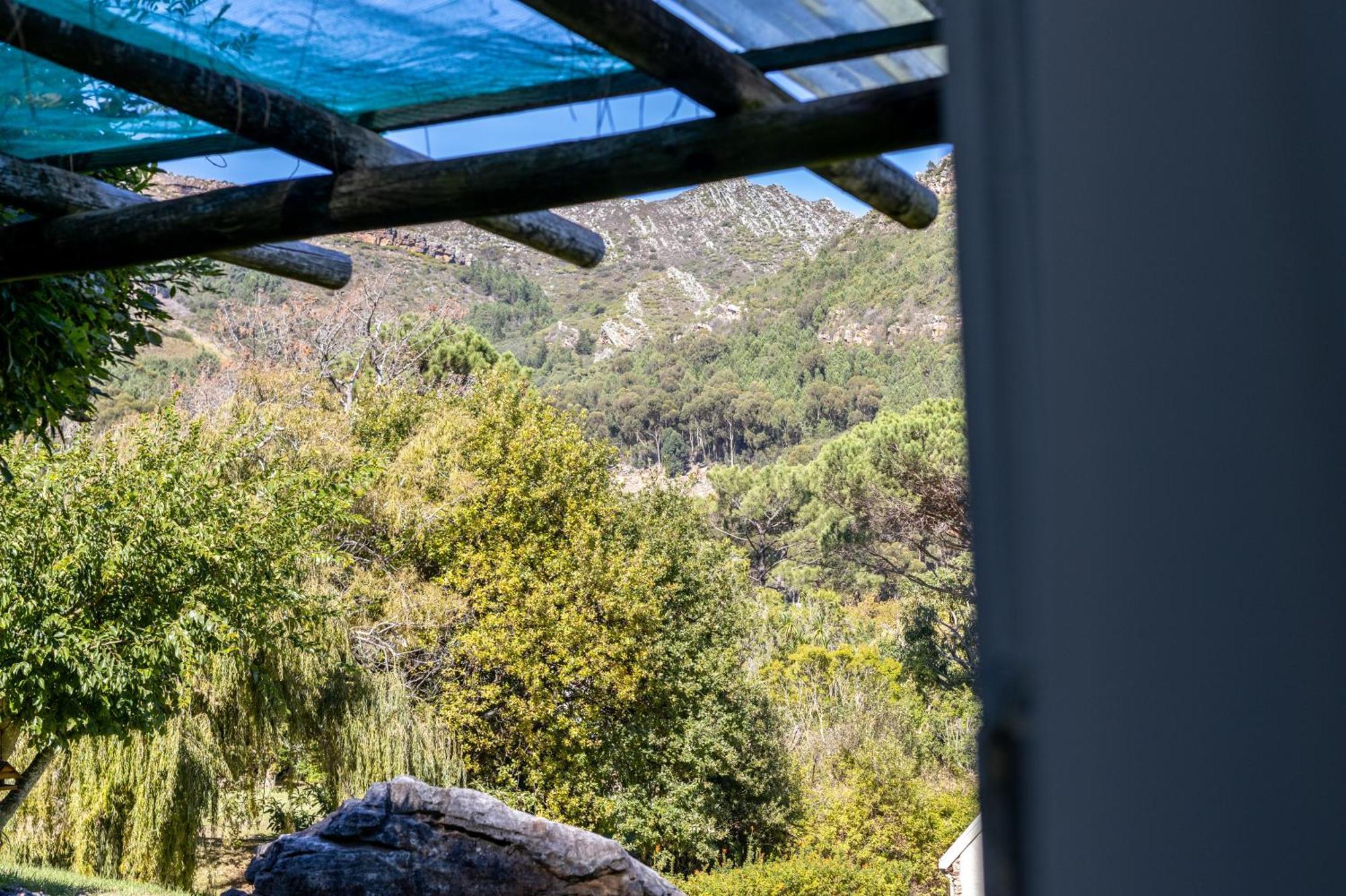 Strelitzia Cottage Cape Town Exterior photo